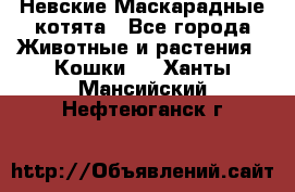 Невские Маскарадные котята - Все города Животные и растения » Кошки   . Ханты-Мансийский,Нефтеюганск г.